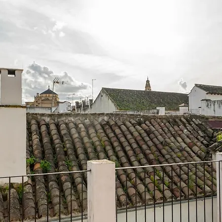 Historic Open House Córdoba-casa De Cabezas *